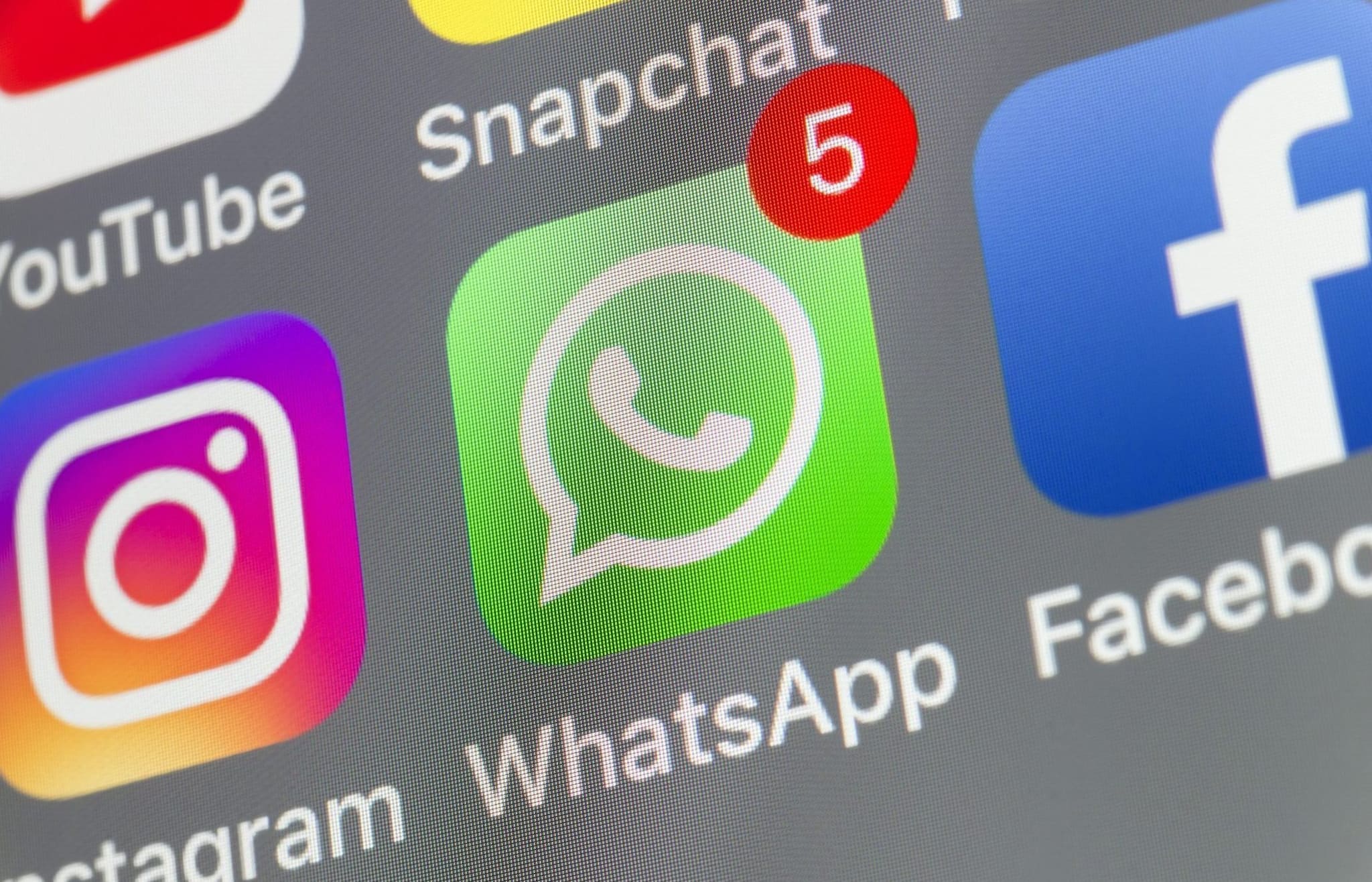 WhatsApp Plus, al via la fase di test: cosa include la nuova versione a pagamento dell'app