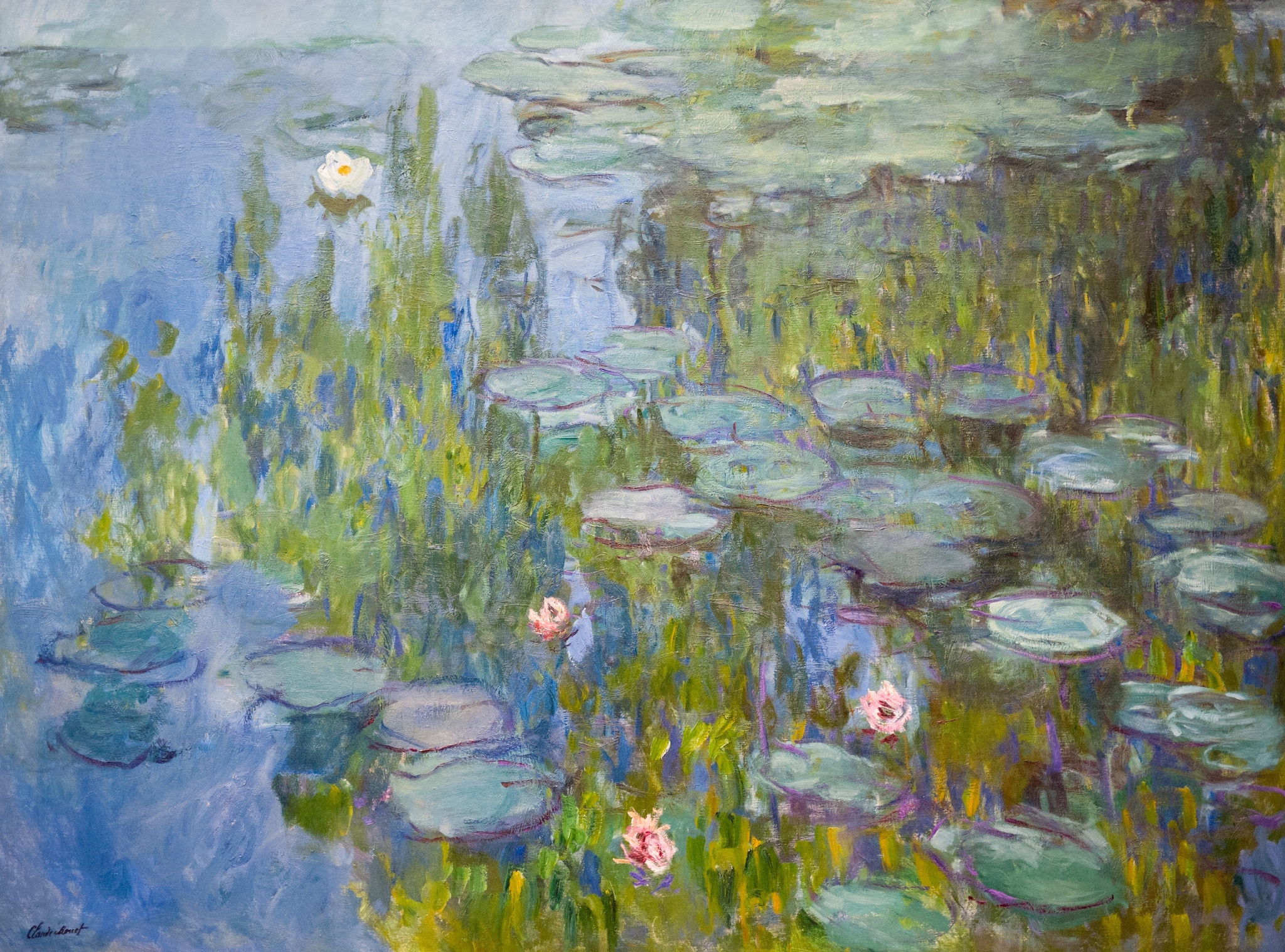 Il caso Ninfee, l'allucinazione collettiva partita da un solo quadro: sembra fatto dall'IA ma è di Monet