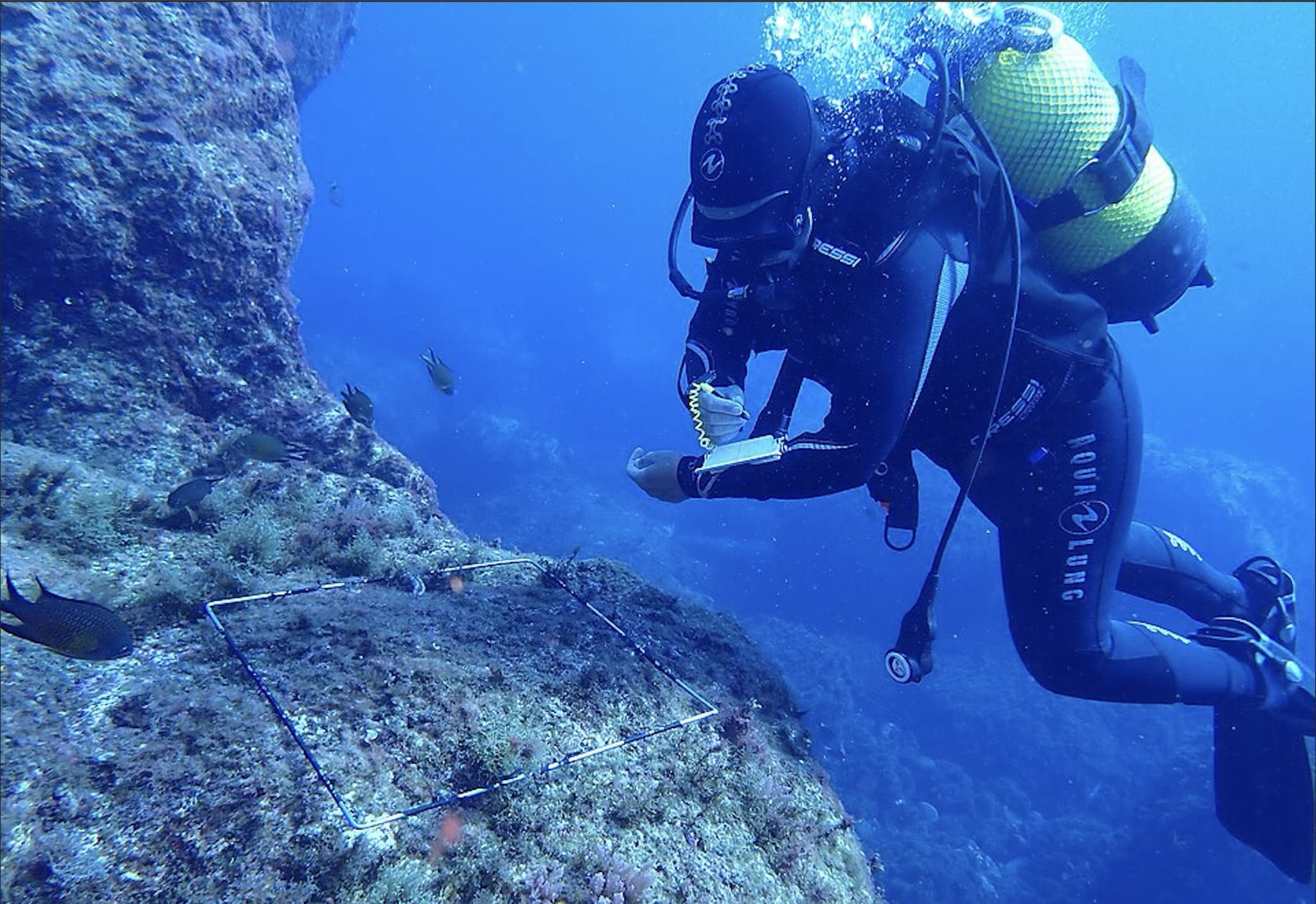 Maldive, gli effetti della pressione sul corpo umano a 50 metri di profondità: miscele e compensazione