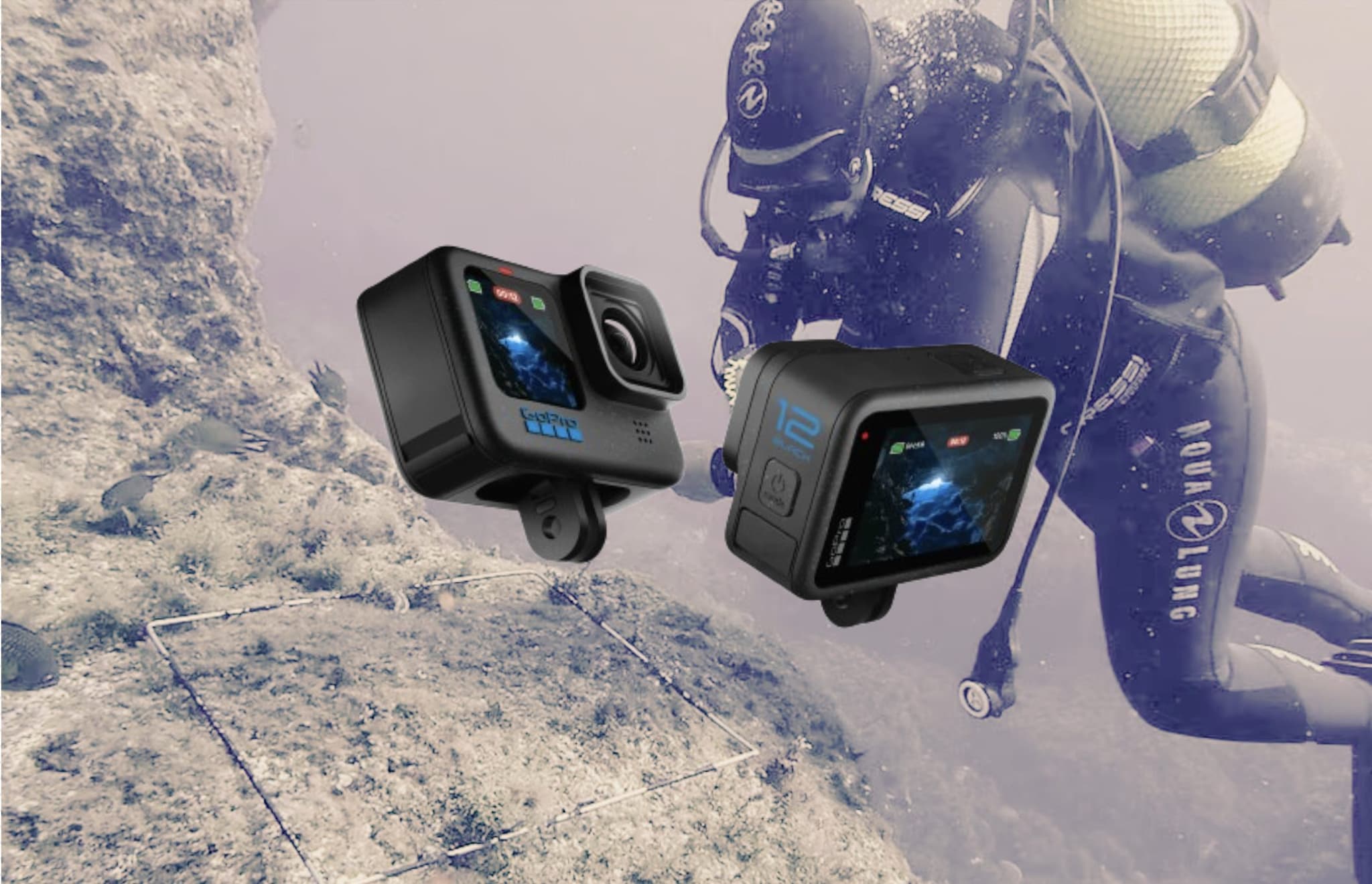 Sub alle Maldive, la soluzione di tutto può essere nelle GoPro: le camere trovate nella Grotta degli Squali