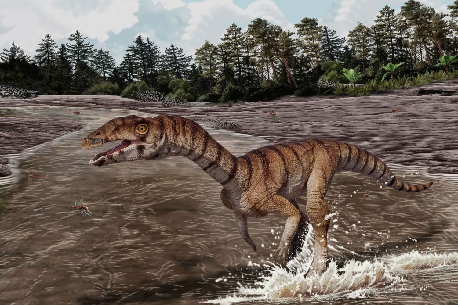 Il coccodrillo strega. Credit: &nbsp;Jorge Gonzalez/NHMLAC Dinosaur Institute