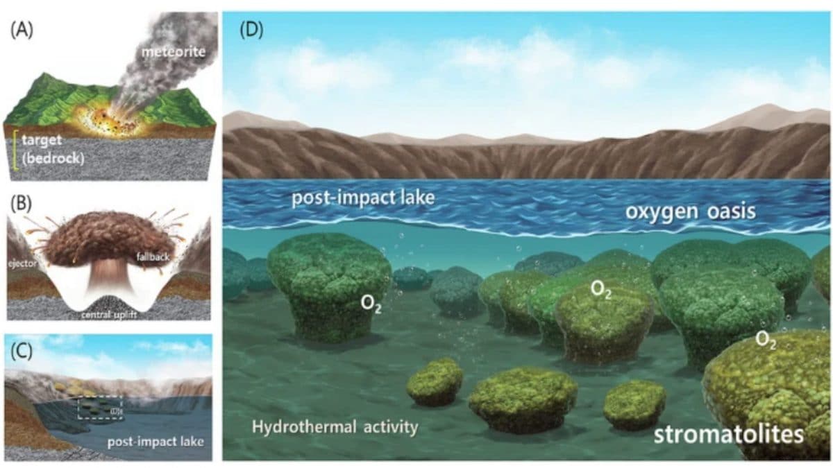 Il cratere da impatto dove sono state trovate le stromatoliti. Credit: Istituto Coreano di Geoscienze e Risorse Minerarie (KIGAM)