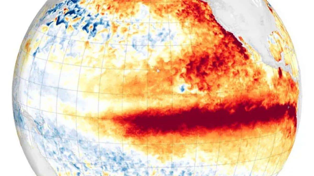 Anomalie delle temperature superficiali dell’Oceano Pacifico durante un evento di El Niño. Credit: NASA Earth Observatory
