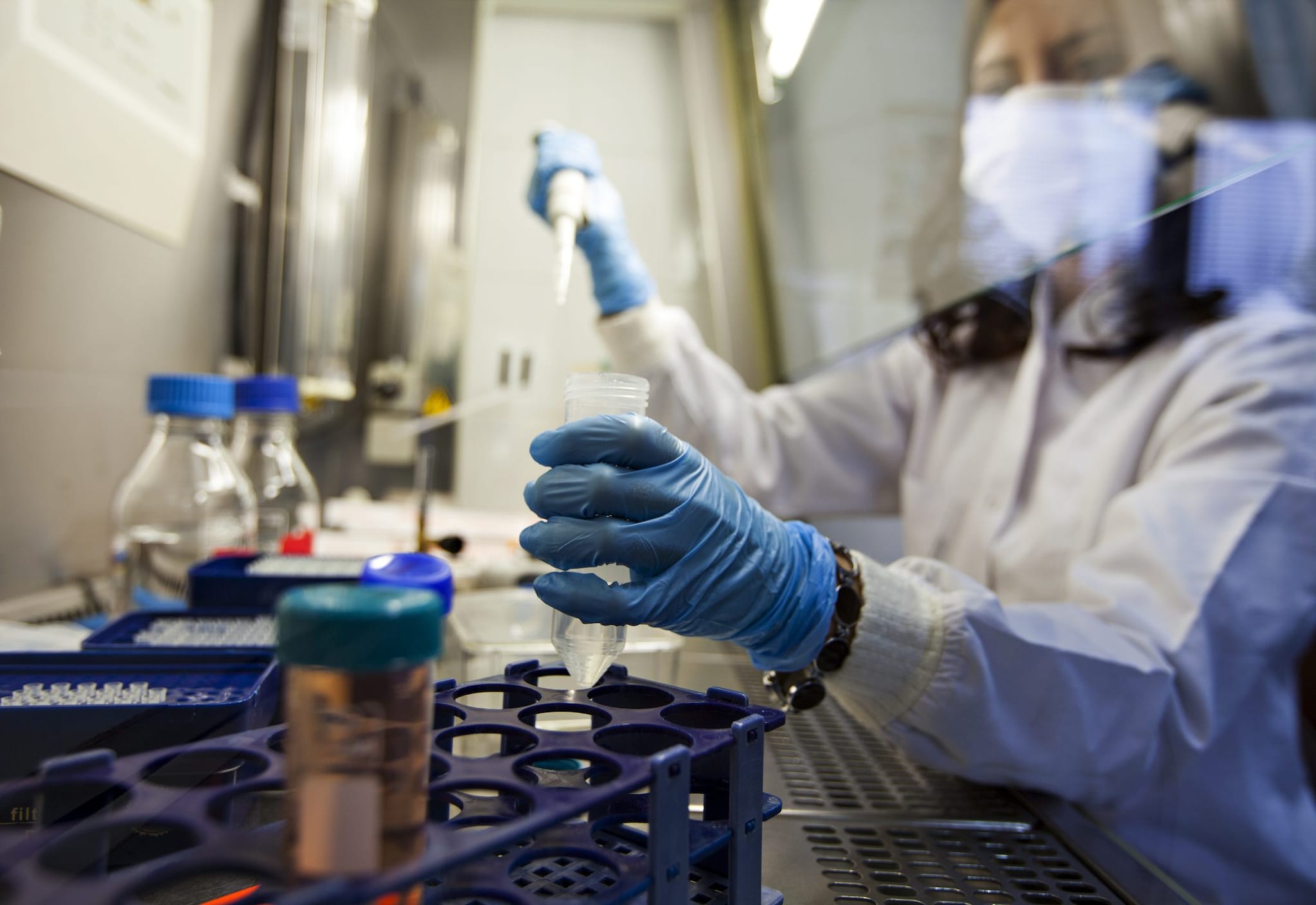 L’OMS dichiara l’emergenza sanitaria globale per l’epidemia di Ebola causata dal virus Bundibugyo