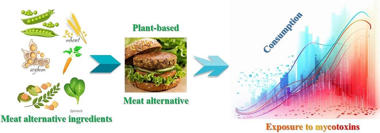 Infografica che confronta l’esposizione alle micotossine con la dieta plant based. Credit: Food Control