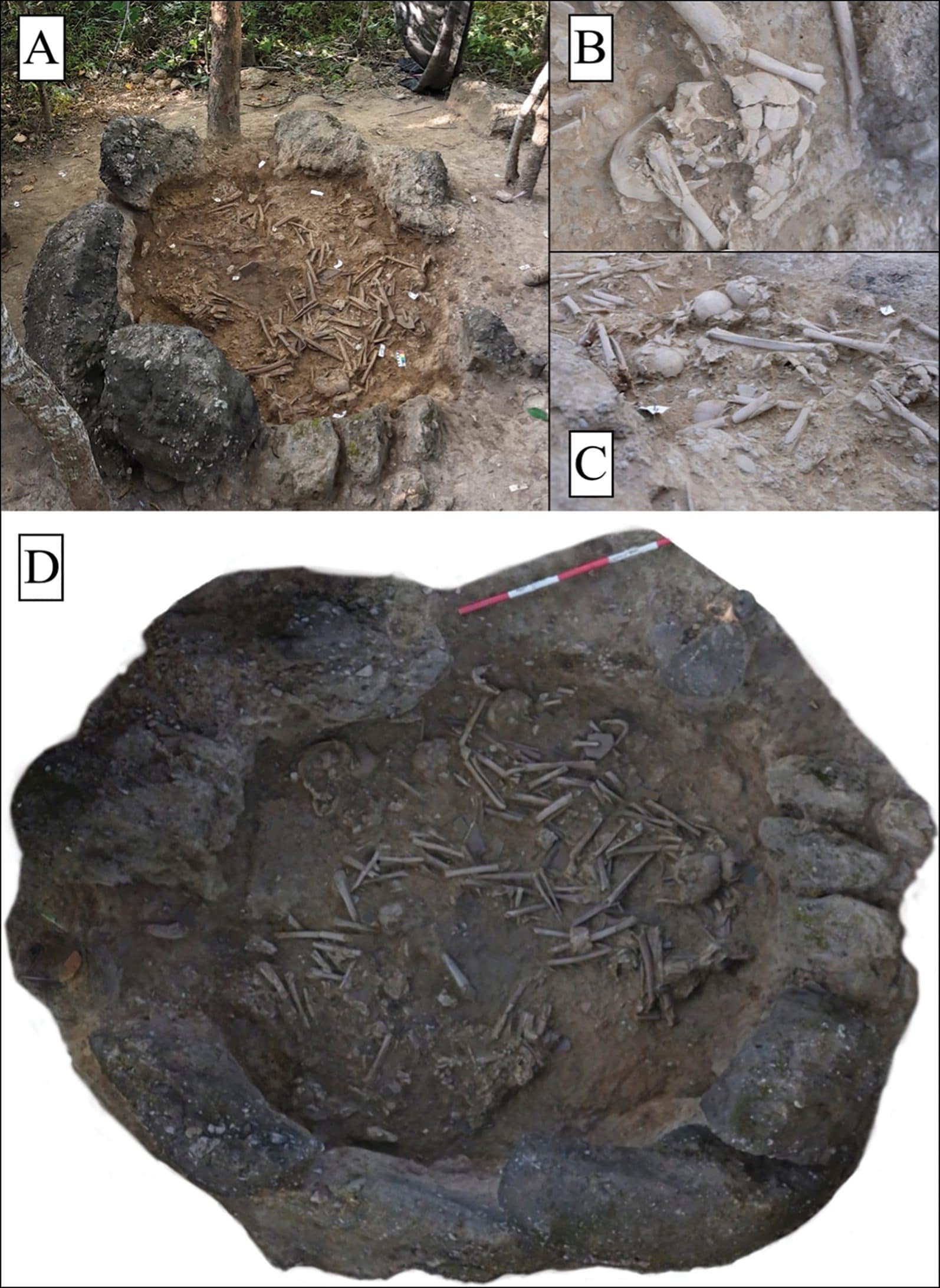 Le ossa trovate sul fondo della giara. Credit: Antiquity