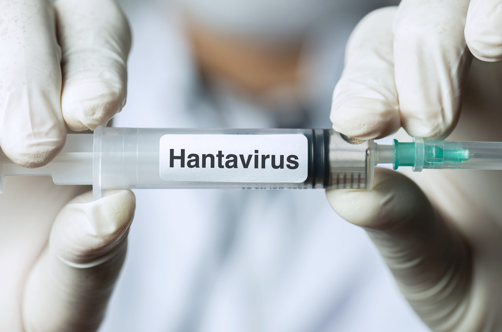 Nuovo caso di hantavirus confermato, l'Oms: "Stiamo monitorando più 600 persone in 30 Paesi"