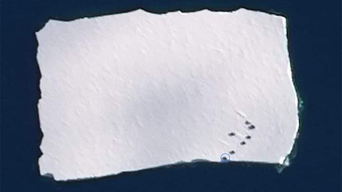 L’immagine satellitare mostra l’iceberg staccatosi dalla piattaforma glaciale Ekström con i container della stazione Neumayer III. Fonte: AWI
