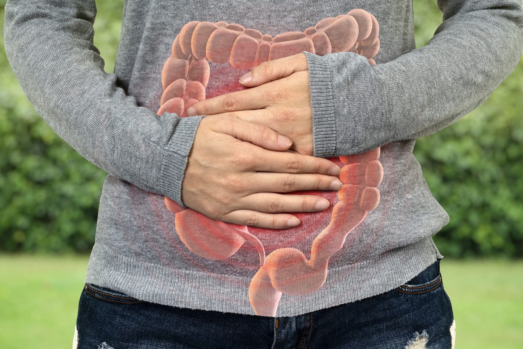 Malattie intestinali croniche, scoperto un segnale che può impedire l'infiammazione: lo studio della Cornell