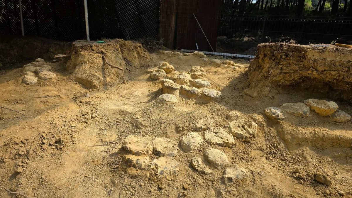 Le uova di dinosauro scoperte in Francia. Credit: Musée Parc des dinosaures de Mèze (Hérault)