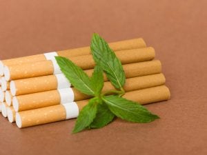 “Le sigarette alle erbe non sono più sicure del fumo tradizionale”: studio smonta i cosiddetti prodotti naturali