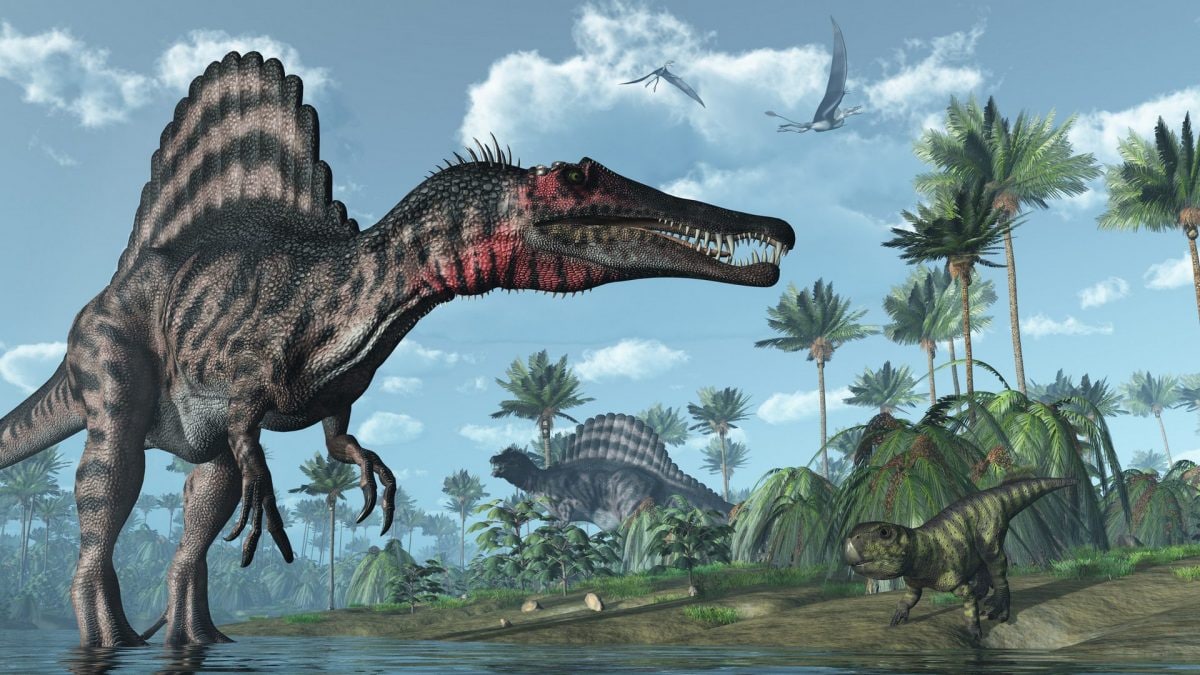 Illustrazione di uno spinosauro. Credit: iStock