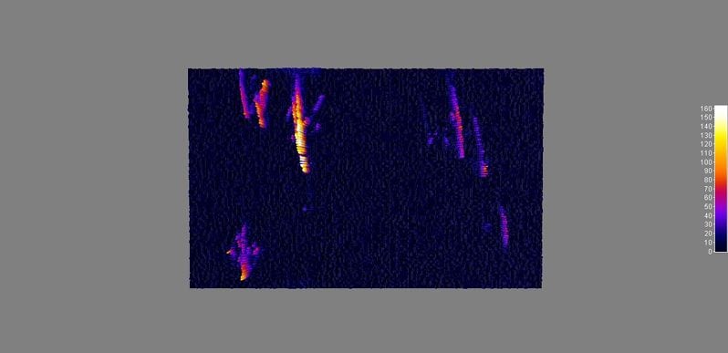 Gli sprite osservati nel cielo della Campania. Credit: Nucleo di Rilevamento dei Fenomeni Luminosi Transitori in Atmosfera – Sezione di Caserta dell’Associazione Arma Aeronautica