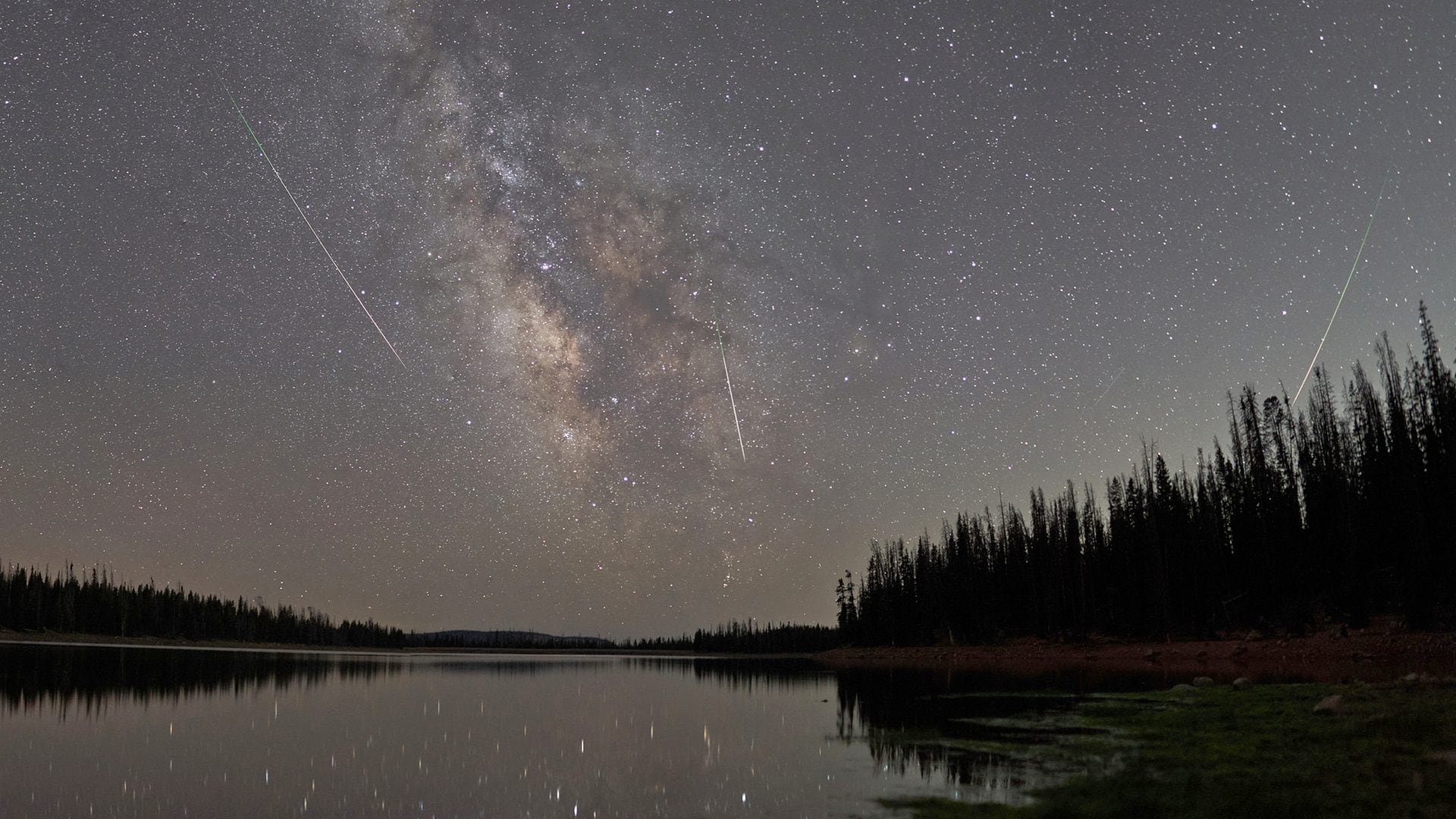 Stanotte pioggia di luminose stelle cadenti sull'Italia: le Eta Aquaridi sono "figlie" della cometa di Halley