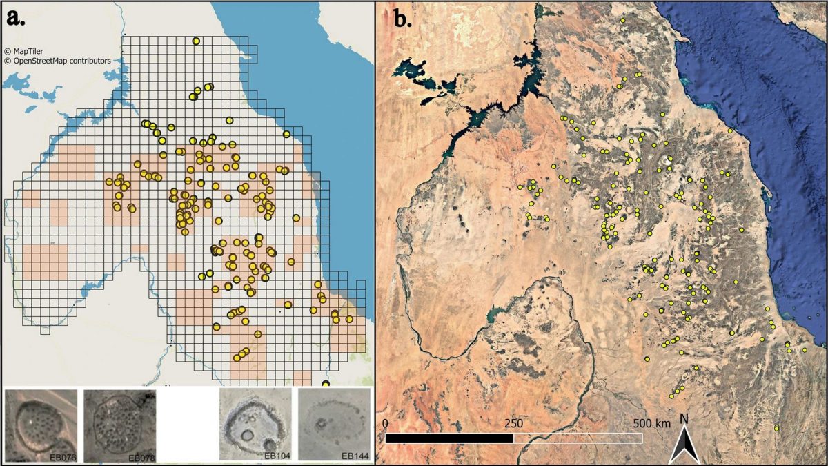 La mappa con la distribuzione delle strutture scoperte. In basso a sinistra le fosse circolari. Credit: African Archaeological Review