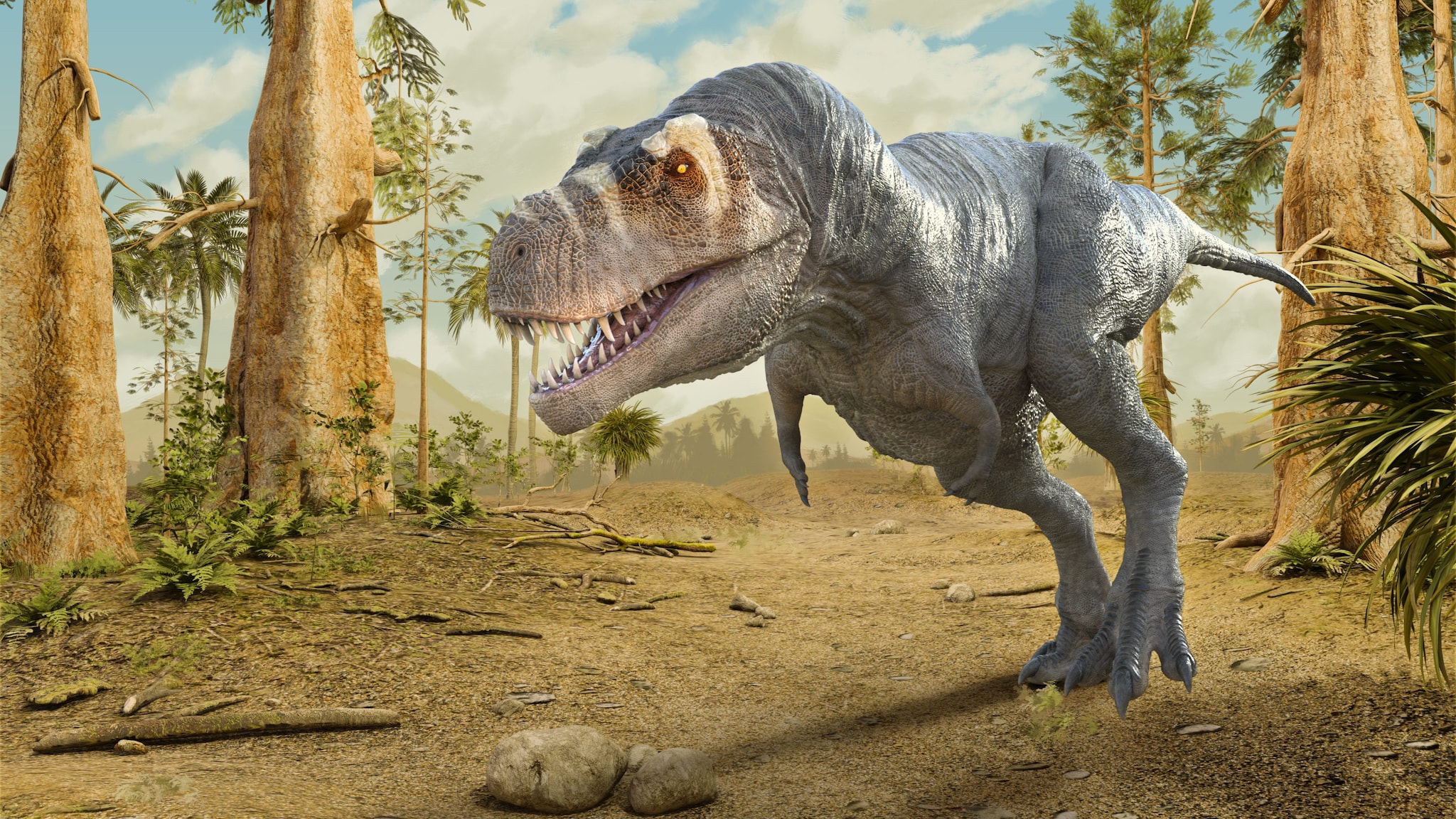 Svelato il mistero delle braccia minuscole del T. rex: "Evolute a causa della crescita delle prede"