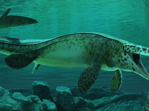 Scoperto il T. rex dei mari, il più feroce dei mosasauri. Un esemplare enorme chiamato “Il Cavaliere Nero”