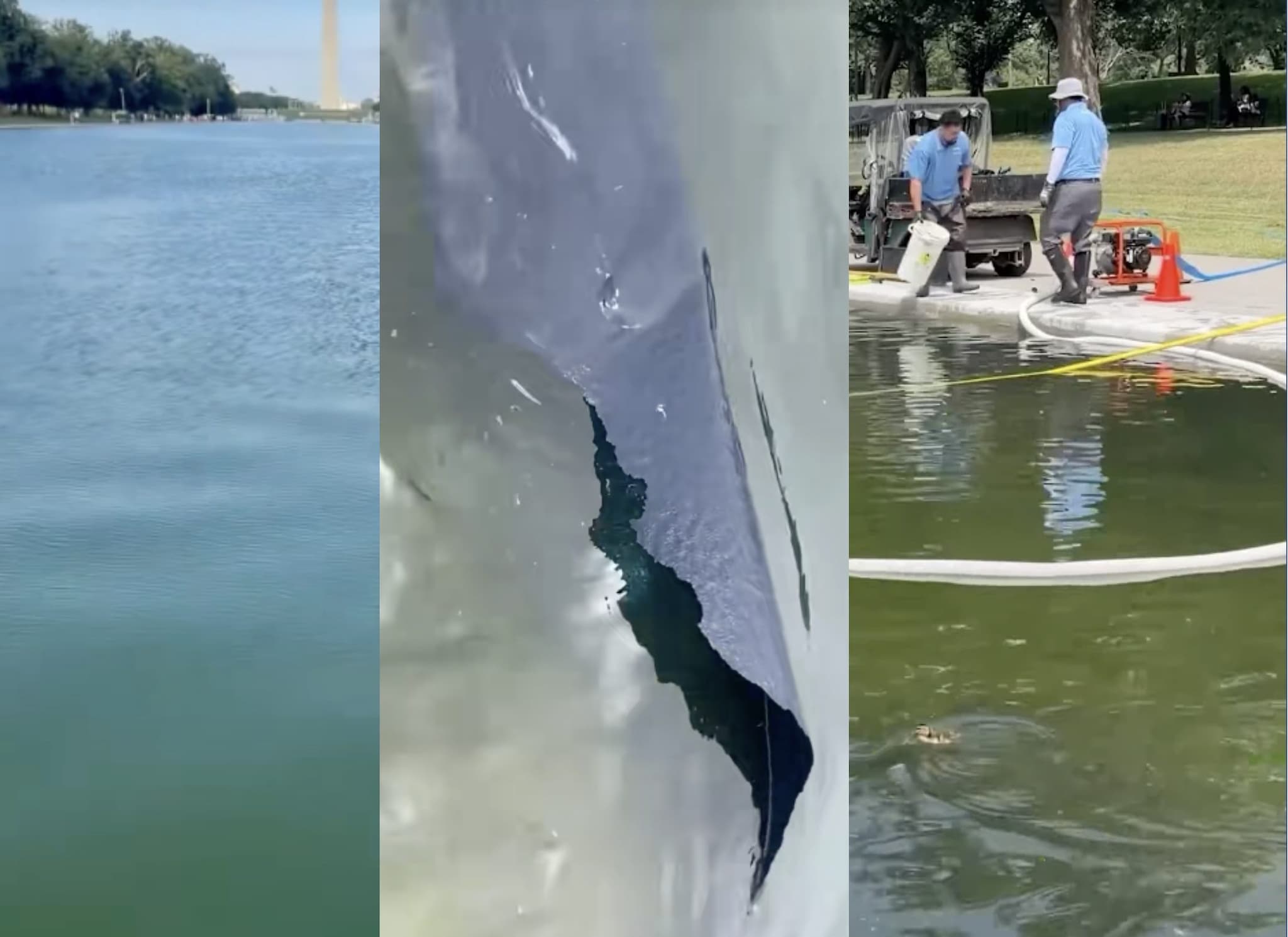 L’impiastro del Lincoln Memorial, la piscina che Trump voleva blu ora è verde alga: tutto per 14 milioni
