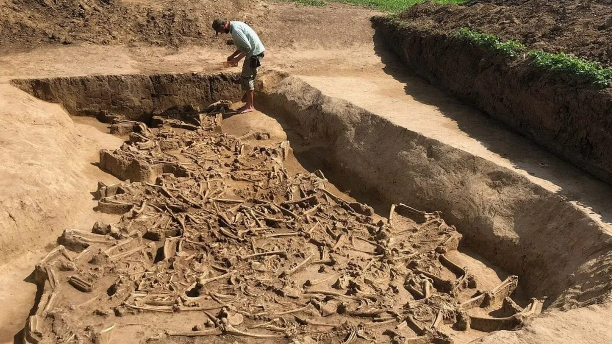 La fossa comune con i 77 scheletri decapitati. Credit: Martin Furholt/Istituto di archeologia pre– e protostorica/Università di Kiel