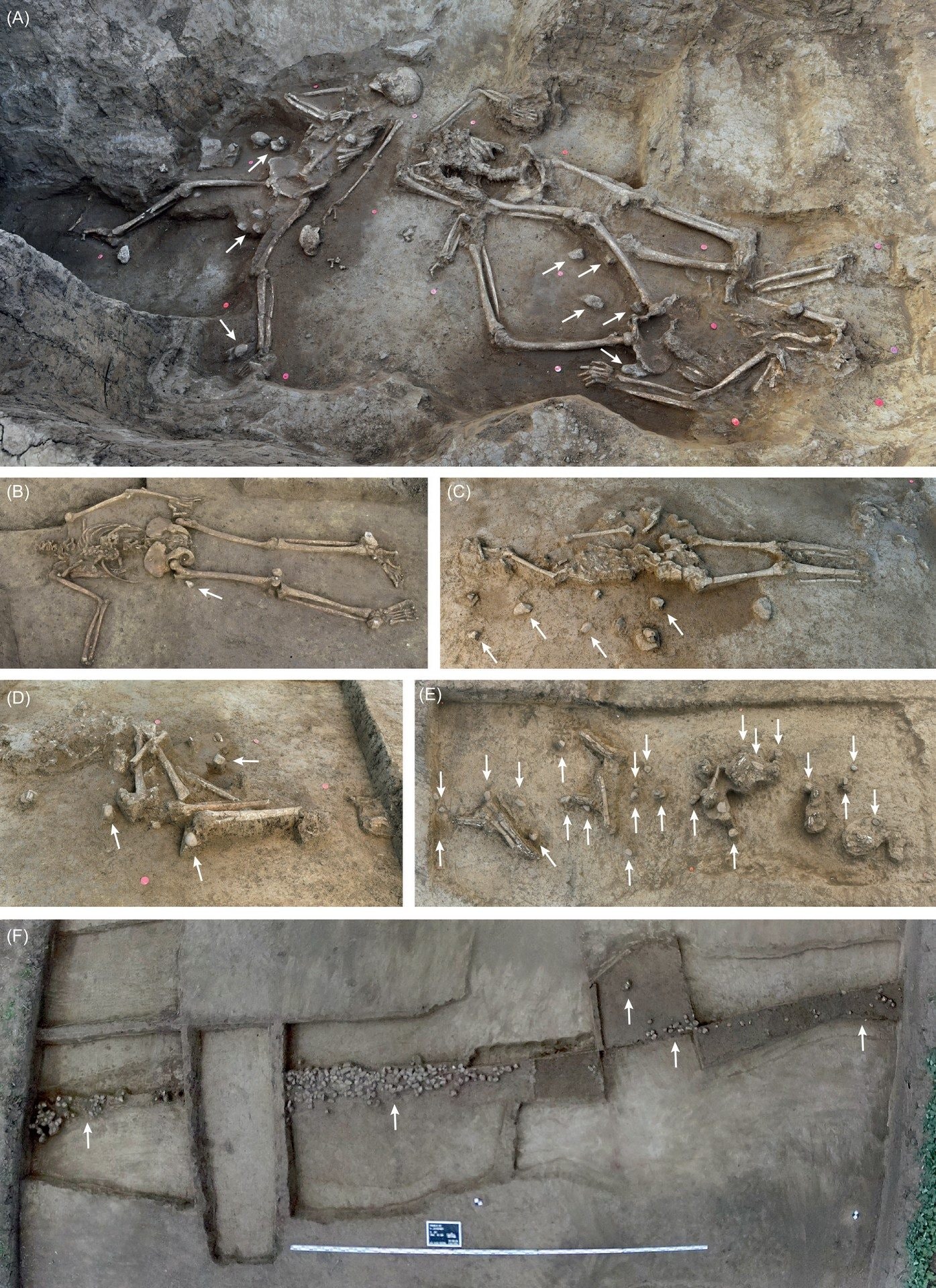 Credit: Proceedings of the Prehistoric Society
