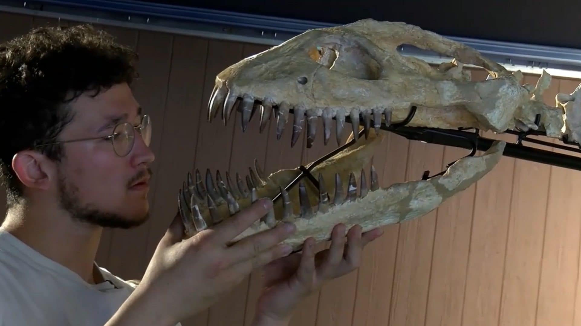 In Francia non sarà venduto alcun dinosauro con base d'asta di 200.000 euro: il fossile è di un elasmosauro