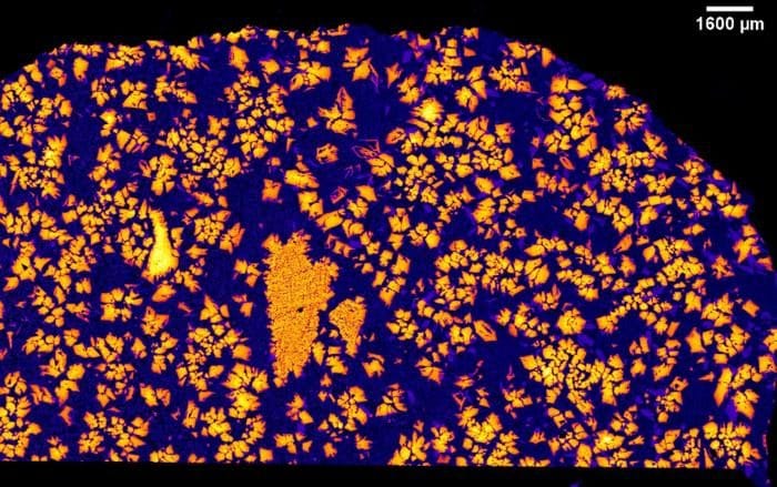 Un’immagine ai raggi X del meteorite NWA 12774. Credit: Aaron Bell/CU Boulder