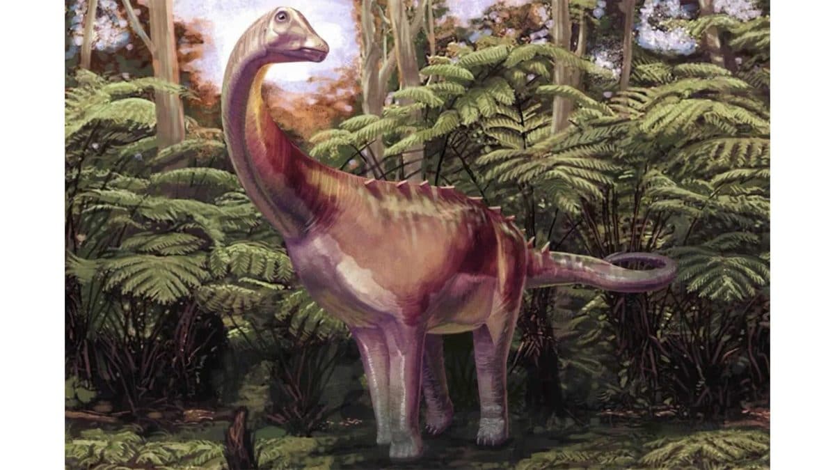 Illustrazione di un titanosauro. Credit: Andrew McAfee/Museo di Storia Naturale Carnegie