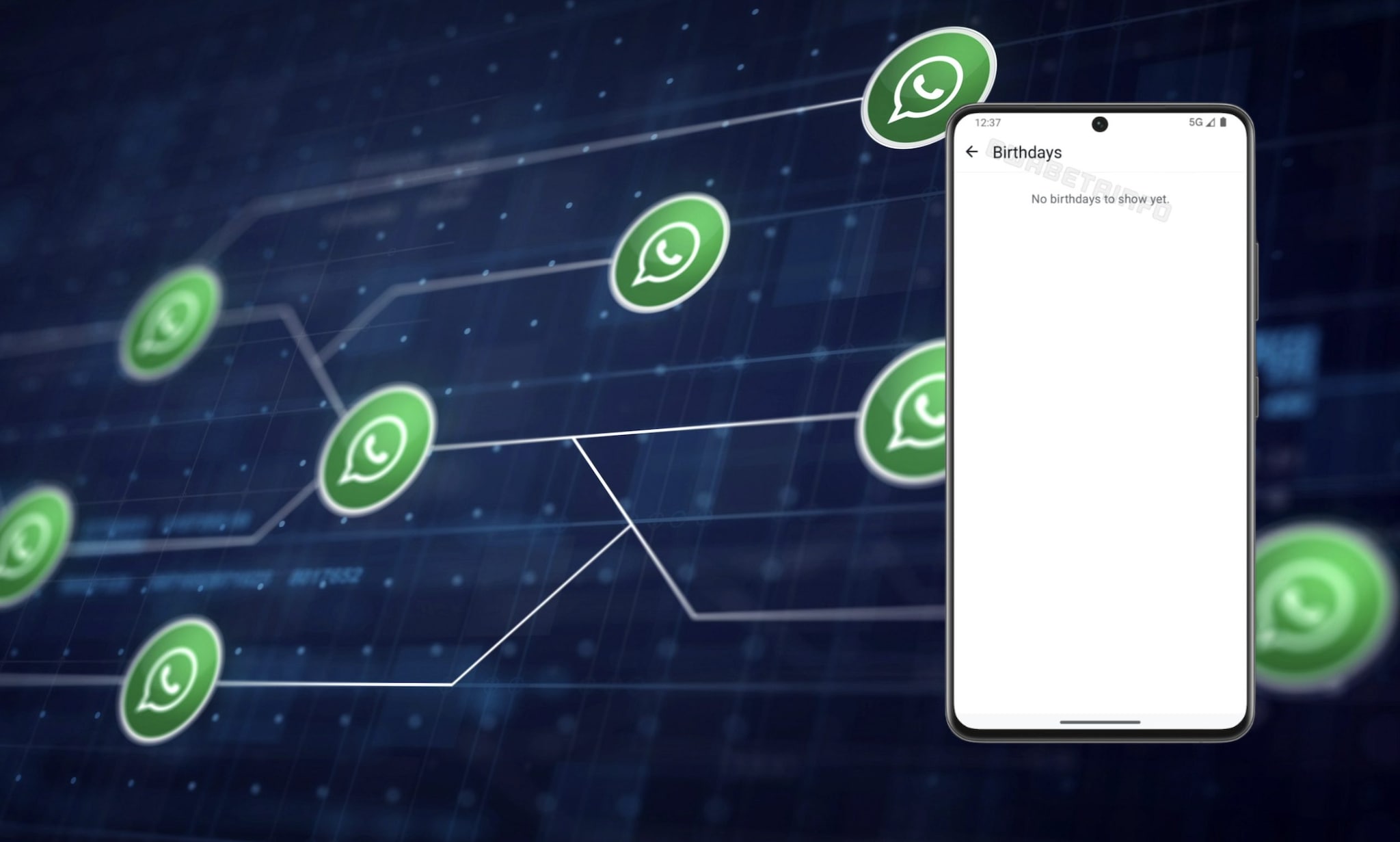 Su WhatsApp arrivano le notifiche per i compleanni: ricordano le date per tutti i contatti in rubrica