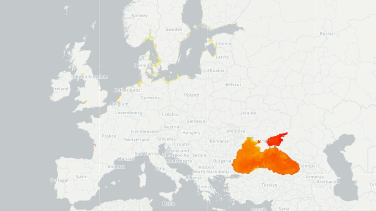 La mappa dell'ECDC aggiornata al 9 luglio mostra le coste d'Europa dove l'indice di idoneità ambientale alla presenza dei batteri Vibrio è più elevato. Credit: ECDC VibroView