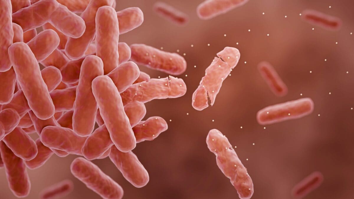 Illustrazione di batteri attaccati dagli antibiotici. Credit: iStock