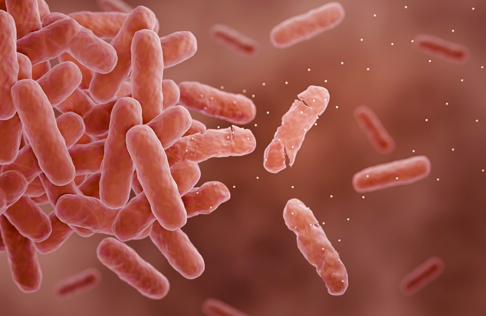 Clostridium difficile: trasmissione e sintomi spiegati dal prof. Lopalco. La percentuale di guarigione