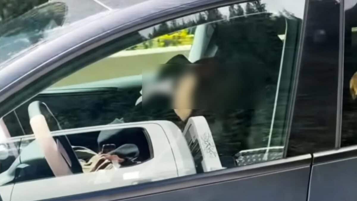 La donna che sembra dormire profondamente a bordo della Tesla. Credit: Facebook/Carleigh King