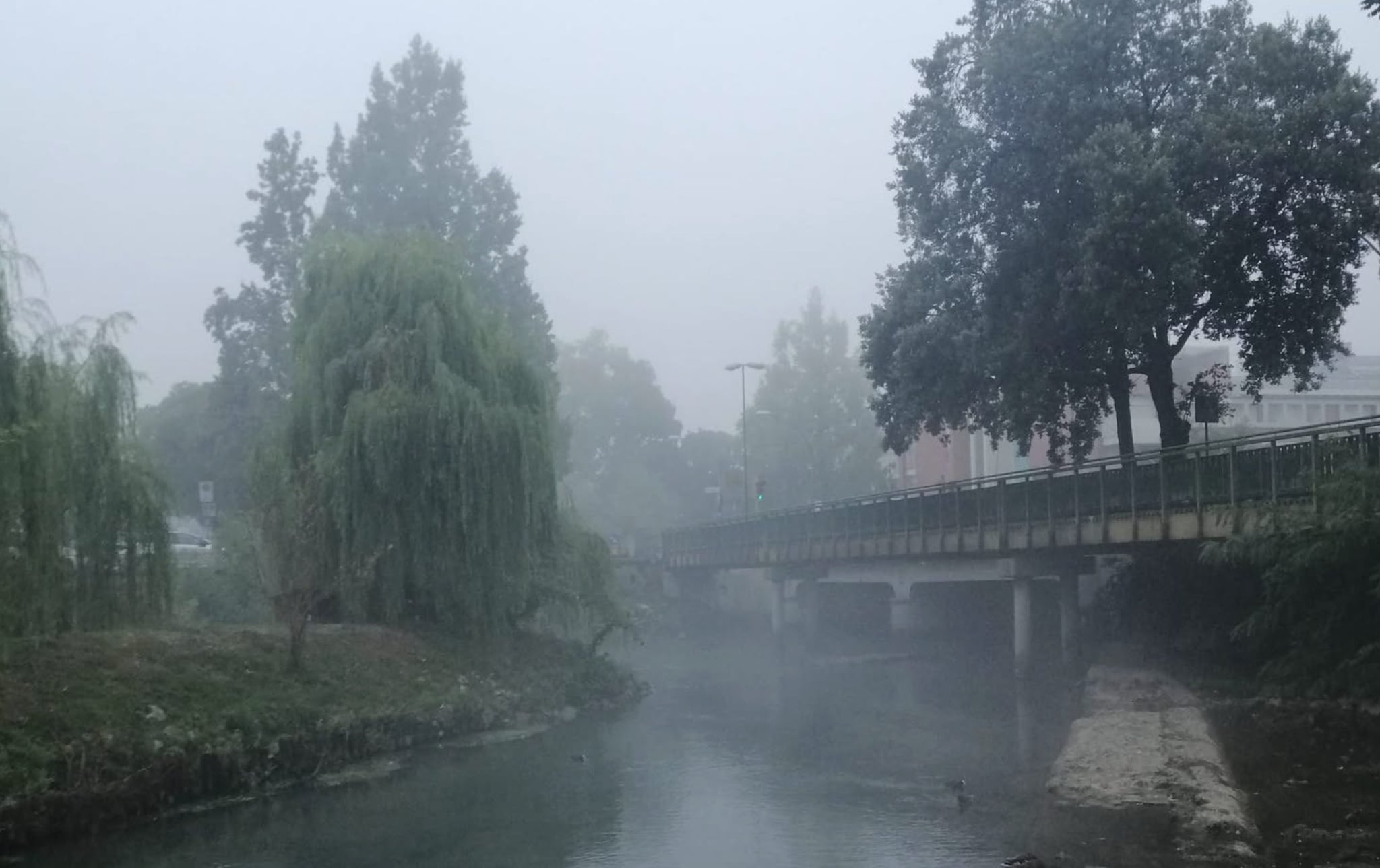 In Veneto arriva la nebbia calda, anche se siamo ad agosto: è un fenomeno molto raro