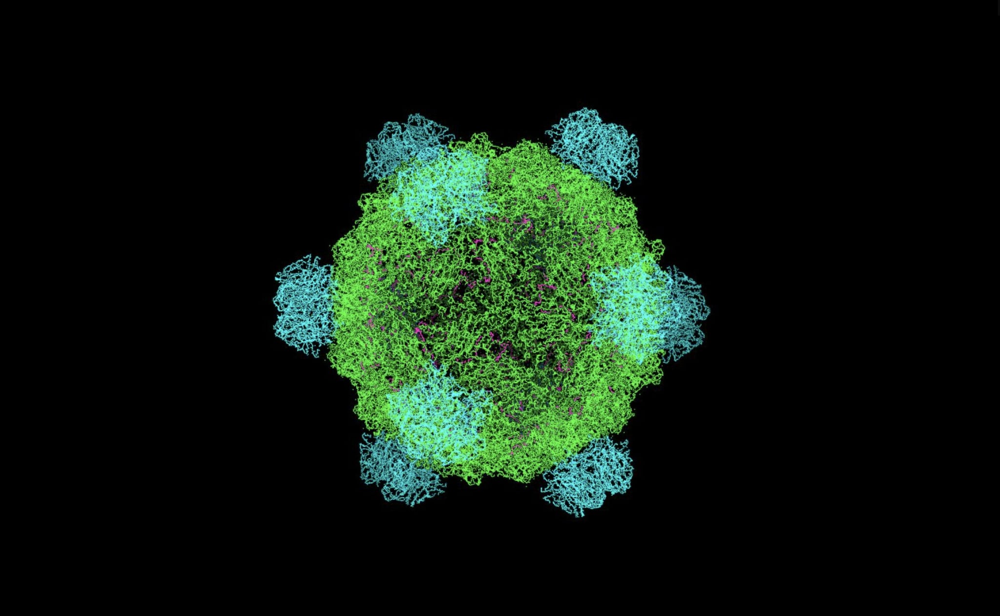 Il primo virus creato con l’intelligenza artificiale: è stato provato su dei batteri, li ha uccisi