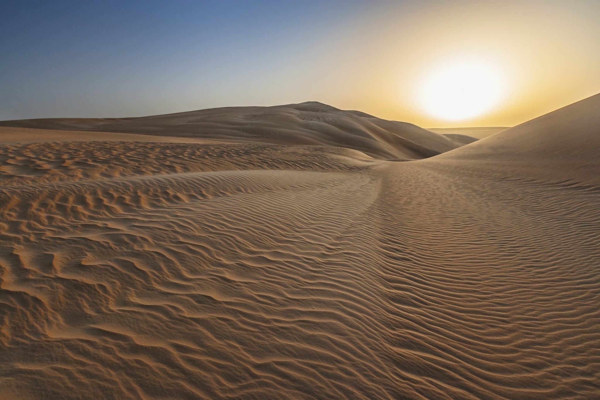 Il deserto del Sahara a ovest del Nilo nasconde squali estinti: un nuovo studio svela altre 5 specie