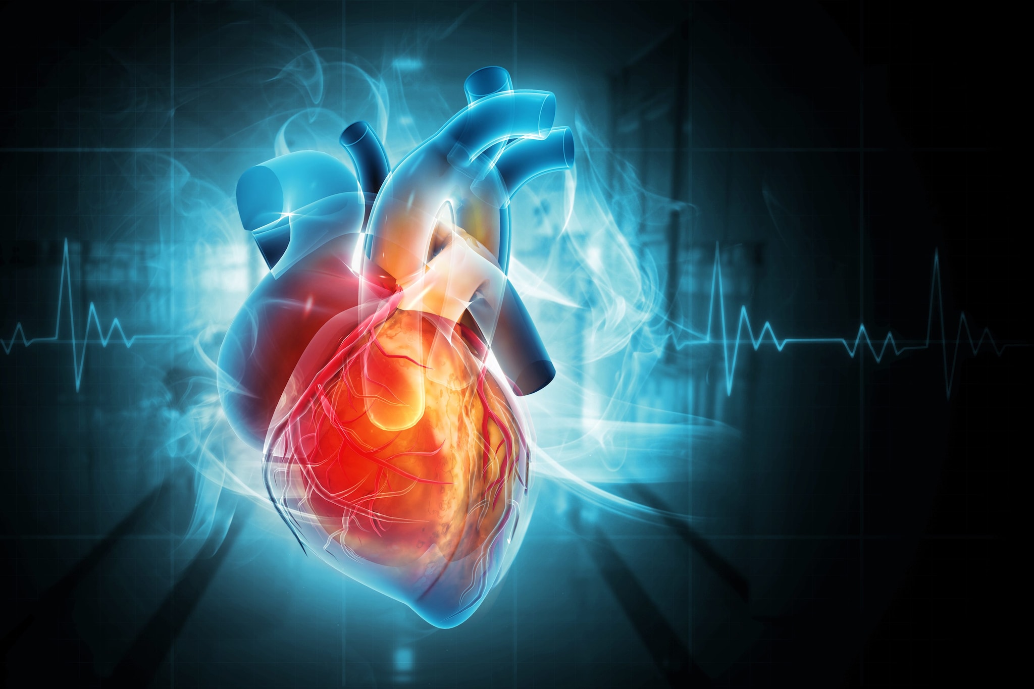 Il cuore può diventare “più giovane”: dopo un trapianto sembra assumere l'età del ricevente