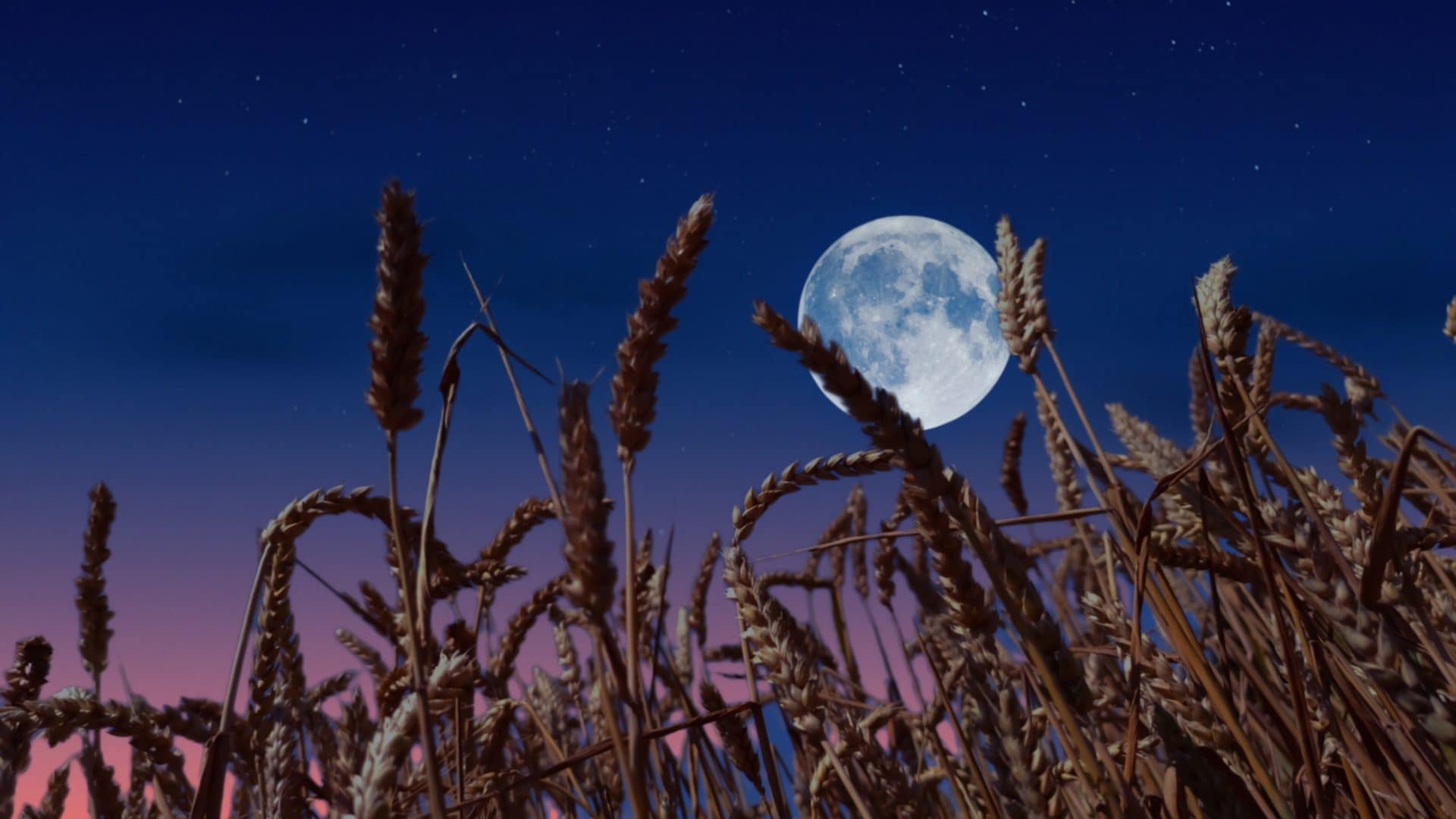 Luna Piena del Raccolto il 26 settembre 2026, a che ora vederla e come osservarla dall'Italia