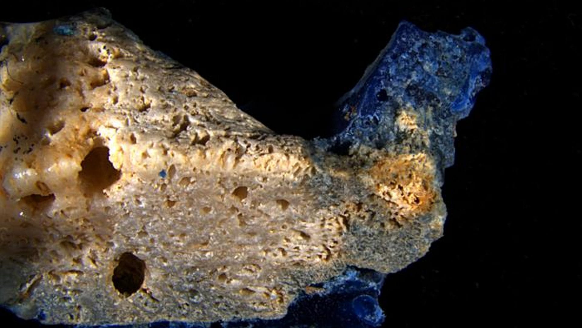 Inquietanti plasticoralli trovati sulle spiagge del Giappone: “Si formano con plastica fusa e coralli morti”