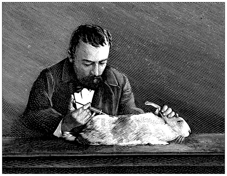 Cos'è il rabbit test
