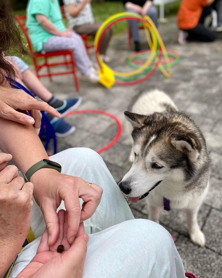 Credits: Associazione Cani per Caso