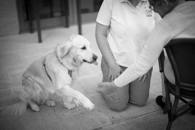 Credits: Associazione Cani pee Caso