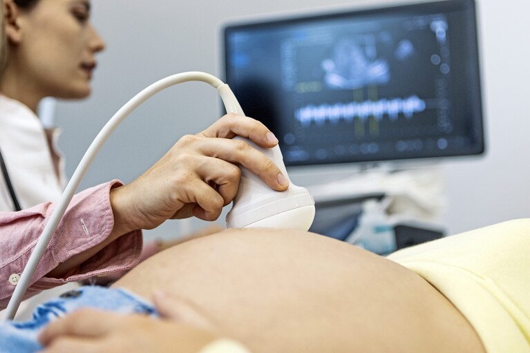 Gestazione per altri