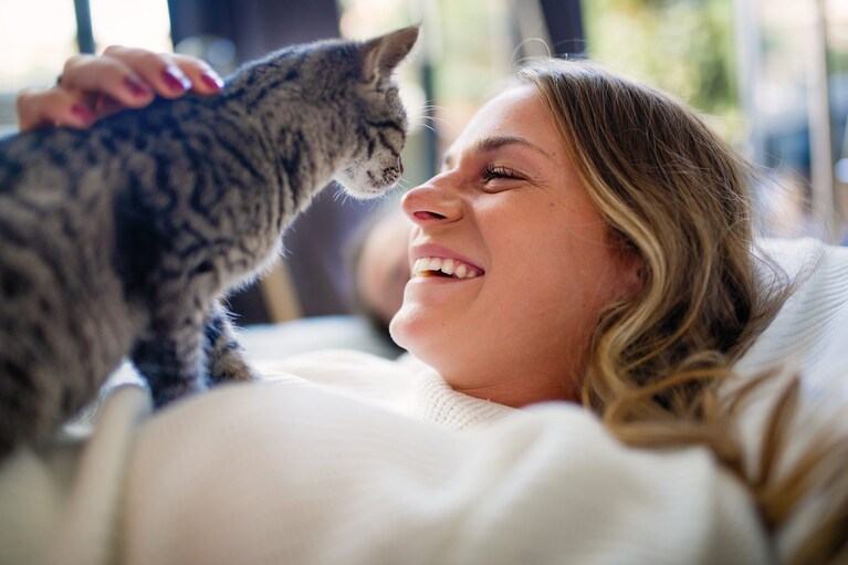 amore per un gatto