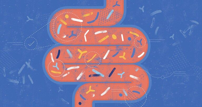 Microbioma intestinale.