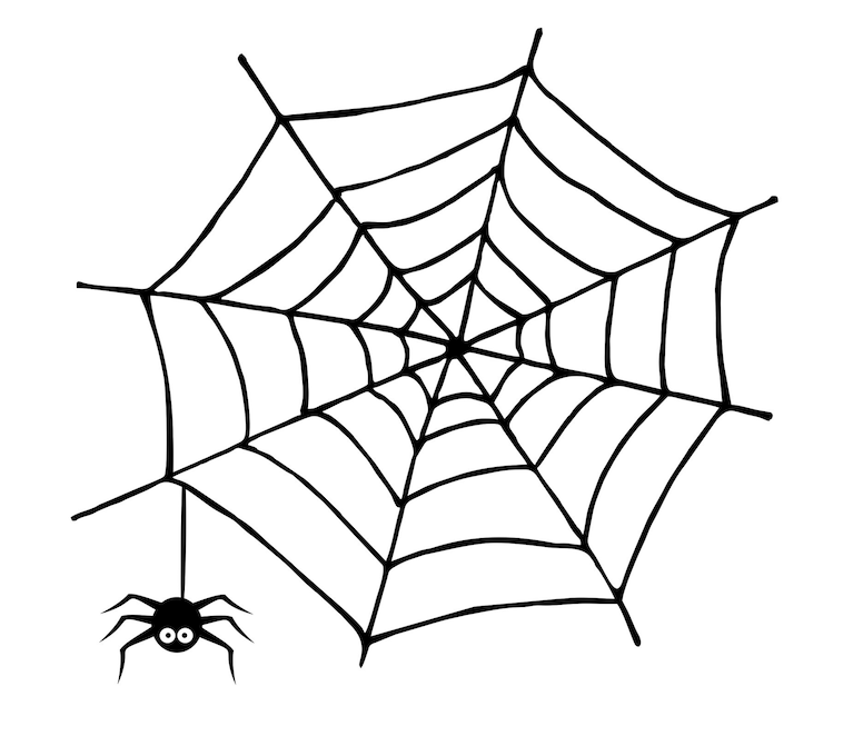 ragnatela