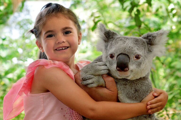 genitore koala