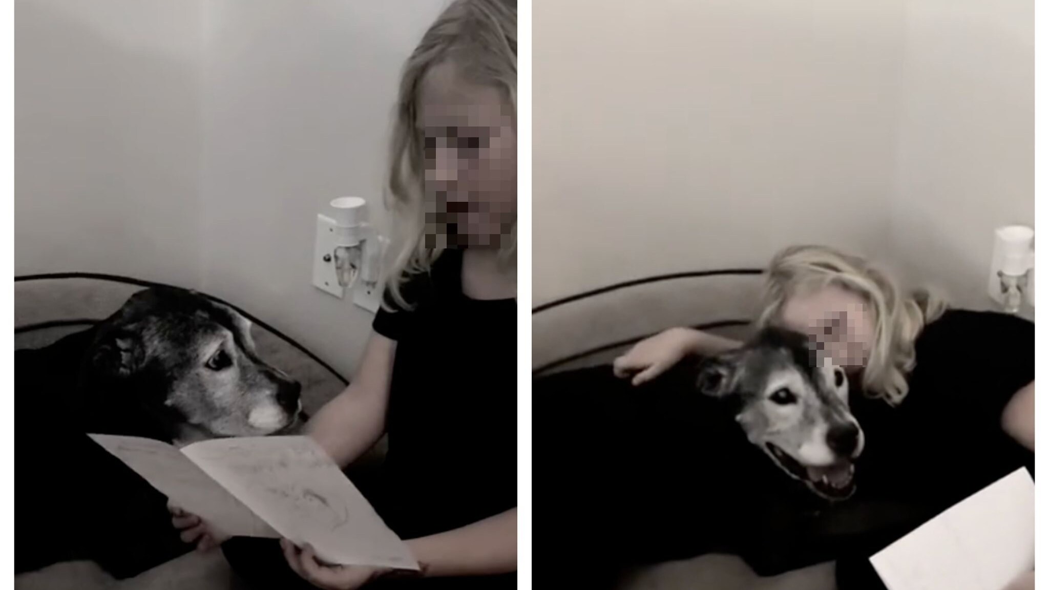 Bimba scrive una lettera per dire addio al cane di casa: "Ti amerò anche quando non ci sarai più"