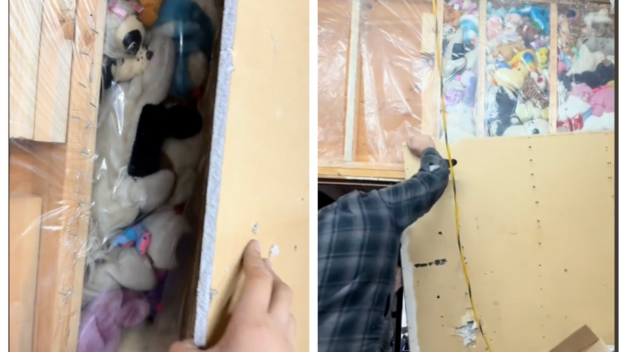 Coppia ristruttura casa e trova 115 peluche nascosti nel muro