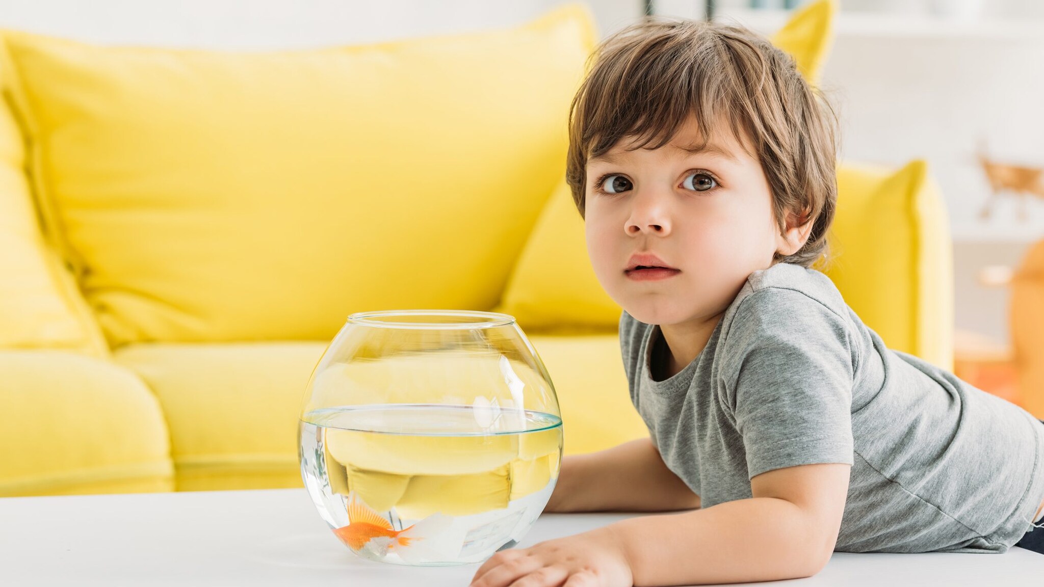 bambino e pesce rosso