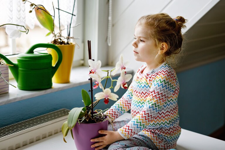bimba orchidea